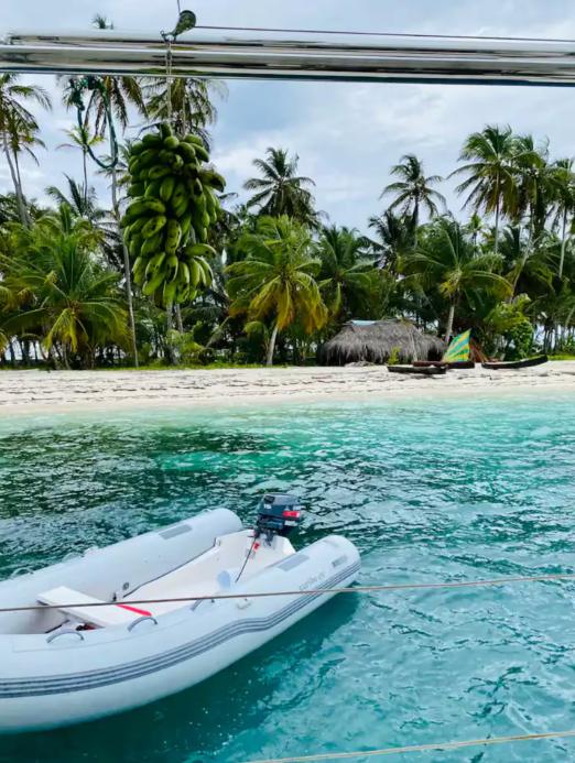 The dinghy moored in clear shallows off a palm beach
