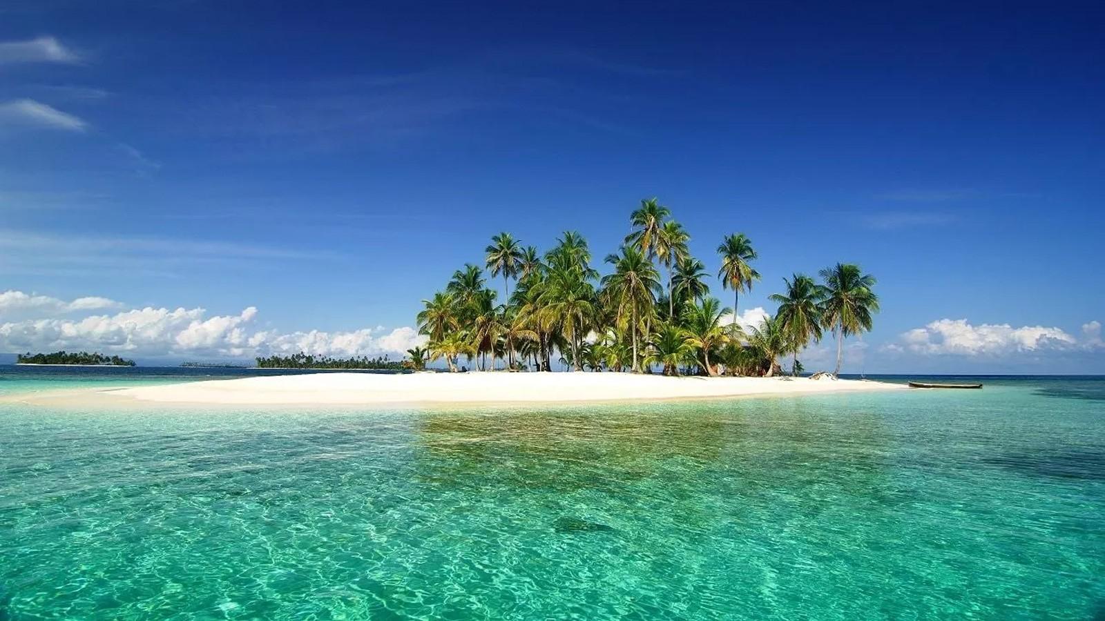 A tiny white-sand island crowded with coconut palms in the San Blas archipelago